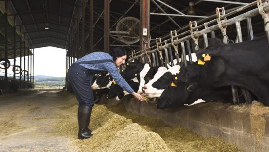 UCADESA Manifesta Preocupação Relativamente ao Atraso no Início da Atividade das OPSA
