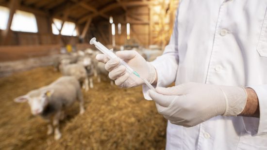 Inscrições Abertas | Webinar "Registo de Utilização de Medicamentos Veterinários - Indicações para um Correto Preenchimento"