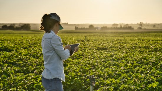 Nova Estratégia para a Renovação Geracional na Agricultura