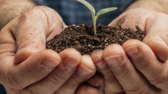 CONFAGRI e Universidade de Évora disponibilizam novas Microcredenciais nas áreas das Ciências Agrárias e Veterinárias