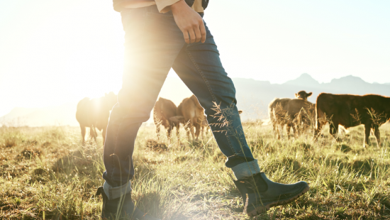 INSCRIÇÕES ABERTAS | Formação "Como Avaliar a Biodiversidade numa Exploração Pecuária?"