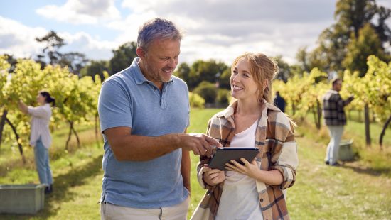 CONFAGRI e Data CoLAB promovem Formação Online "Inteligência Artificial no Setor Vitivinícola"