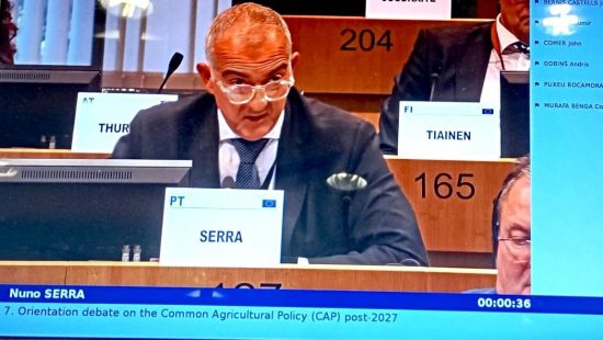 Nuno Serra tece duras críticas à PAC pós-2027 proposta pela Comissão Europeia