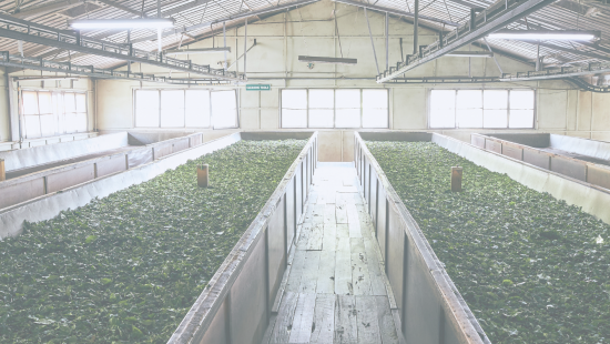 CONFAGRI Organiza Conferência Final do Projeto BestCoopMed